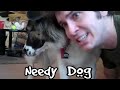 needy