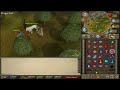 Runescape Hati The Winter Wolf Guide Review (Commentary)!