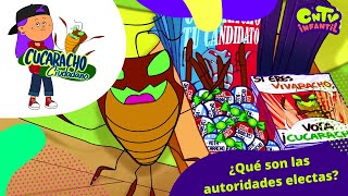 Qué son las autoridades electas - videos escolares