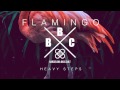 Flamingo - I Know (Heavy Steps EP)