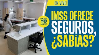 De Qué Te Protege El Imss? Estos Son Los Cinco Ses Que Ofrece
