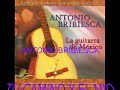 ANTONIO BRIBIESCA - TU CAMINO Y EL MIO.wmv