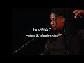 Pamela Z (live performance excerpts)