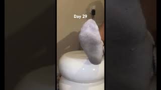 Dirty Sock Challenge 29