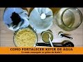 COMO FORTALECER KEFIR DE ÁGUA (e onde conseguir os grãos de Kefir)