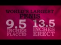 Records