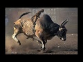 Big Rude Jake: Mercy for the Monkey Man