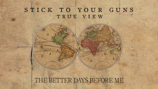 Watch Stick To Your Guns The Better Days Before Me video
