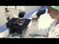 Edta Use As An Anticoagulant | RM. Edta Use As An Anticoagulant | RM.