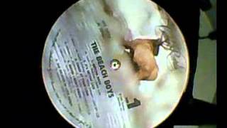 Watch Beach Boys She Believes In Love Again video