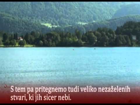 Zakon privlačnosti II