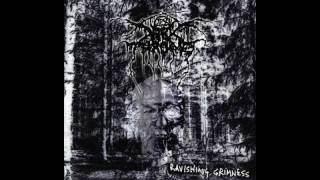 Watch Darkthrone Ravishing Grimness video