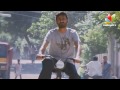 Velai Illa Pattathari Vip Box Office Collection Dhanush Anirudh Amala ...