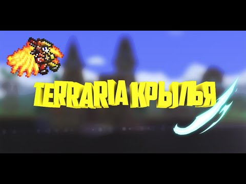 Подарок день рождения жизнь 964