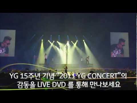 15th Anniv. 2011 YG FAMILY CONCERT LIVE DVD_Spot