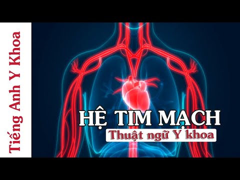 THUẬT NGỮ CHUYÊN NGÀNH Y KHOA - HỆ TIM MẠCH (CARDIOVASCULAR SYSTEM) PART 1