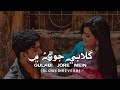 Gulabi Jore Mein || Sindhi Reverb Slowed songs || lofi❤️