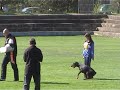 Raspenava obranaBon Jour