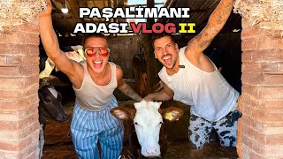 Paşali̇mani Adasi Vlog Ii
