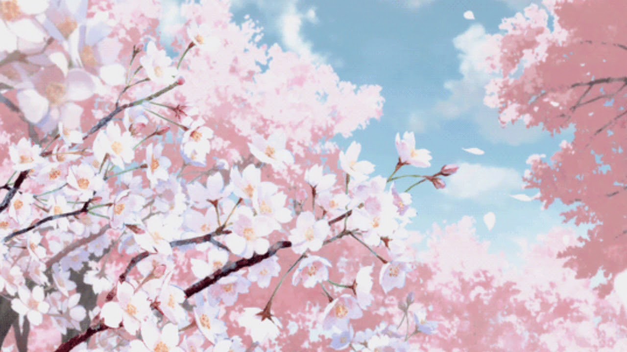 Cherry Blossoms Lesbian Xxx 1