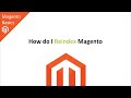 How do I Reindex Magento?