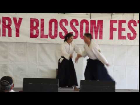 Demonstration Video