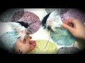 Kitten Play: How to Style Zullala's Kitten Ears