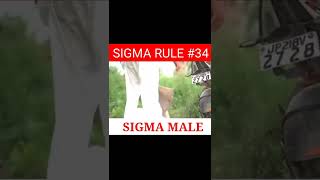 Sigma Rule Sigma Male Round2Hell Video