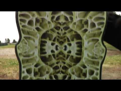 Santa Cruz Skateboards: Phillips Skull