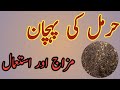 Harmal Ke Fayde In Urdu// Benefits Of Harmal Seeds