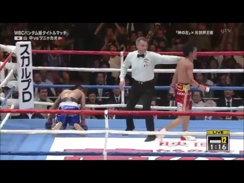 Shinsuke Yamanaka KO Collection 山中慎介 KO集