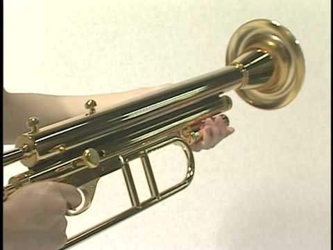 Trumpet shower manual