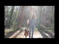 Unobtainium by Anumission / Grunge / New Grunge / Alternative Rock