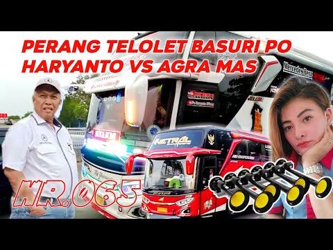 Perang Telolet Basuri PO Haryanto vs Agra mas ⁉️😍