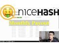 How Much I Earned in a Month Through NiceHASH