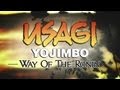 Usagi Yojimbo: Way Of The Ronin - Gameplay Video