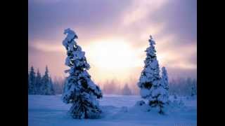Watch Dolorian Cold Colourless video