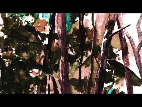 The Fox In Motion Video