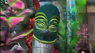 Finding Tad Dvd Menu Disc 2