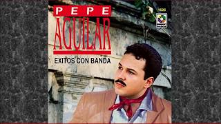 Watch Pepe Aguilar Las Uvas video