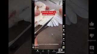Tiktok Videolari Selma Su