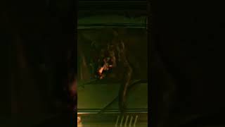 Viking Wolf Ending Scene