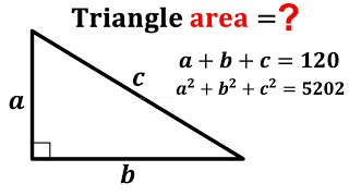 Can you find Area of the triangle? | (Algebra) | #math #maths | #geometry