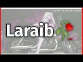 Laraib Name Status | Laraib Name Whatsapp Status | Laraib Shayari Status | Laraib Name Ringtone