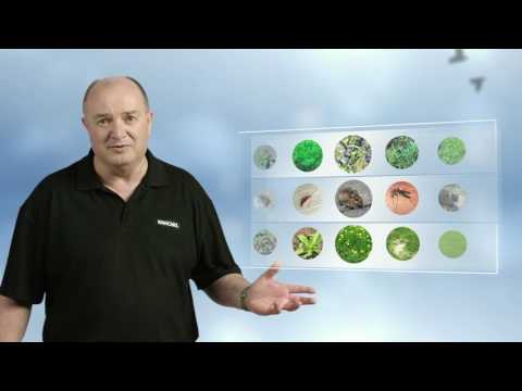 Kiwicare Garden Problem Solver TV Commercial