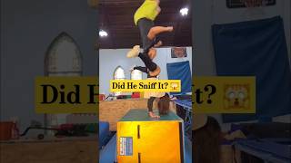 Wildest Backflip In Your Shorts Feed