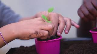 Montfermeil : Nature et Partage