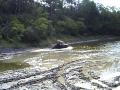 quicksand mud