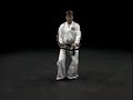 Saju Jirugi