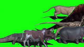 Dinosaur Animal Stampede Green Screen
